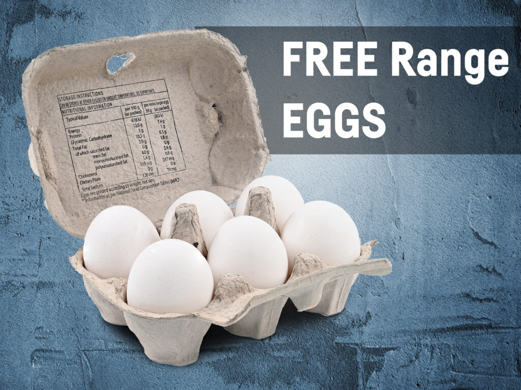 free-range-eggs-on-plastered-bg